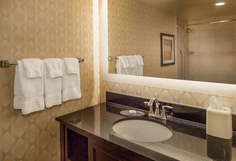 Номер Стандарт 2 Двуспальные Кровати, Crowne Plaza Hotel St. Louis Airport, An Ihg