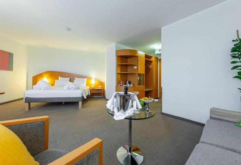 اتاق اجرایی, Novotel Mainz