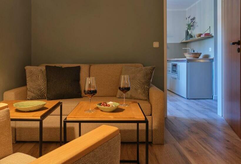 آپارتمان 1 خوابه, Classik Hotel Martinshof München Messe