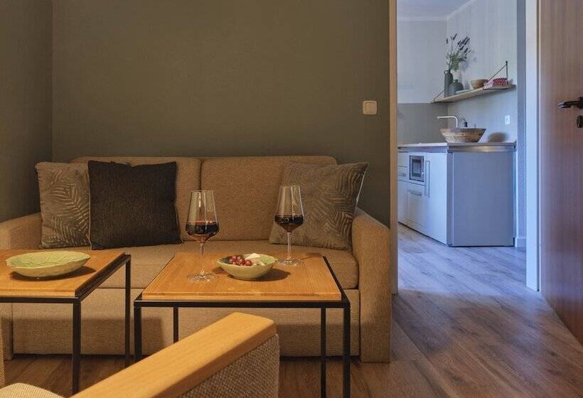 آپارتمان 1 خوابه, Classik Hotel Martinshof München Messe