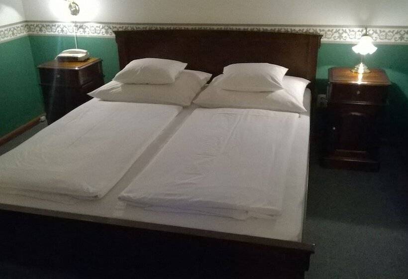 Номер Стандарт, Nr 100 Szentendre Hotel Panzio Szolgáltatások