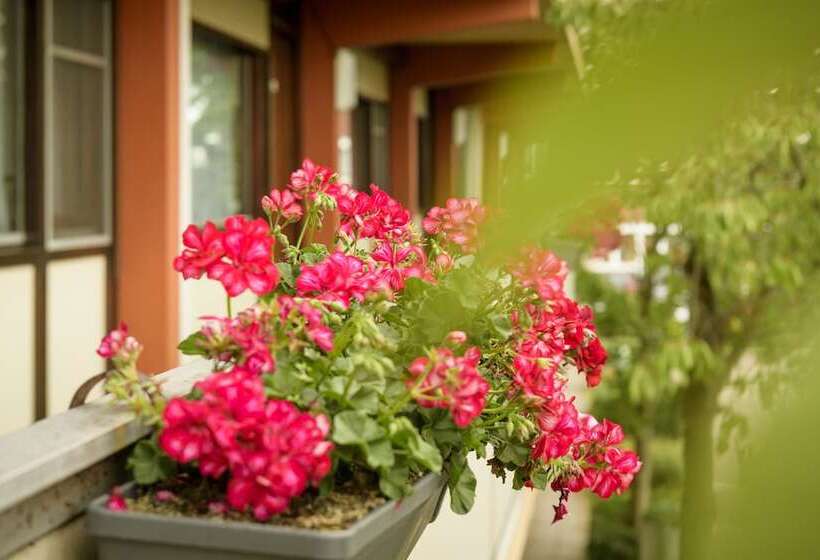 اتاق استاندارد, Campanile Hotel Vlaardingen