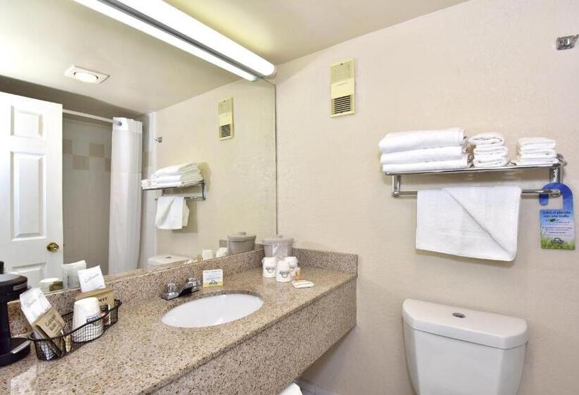 חדר סטנדרט שתי מיטות זוגיות, Envision Hotel Miami International Airport