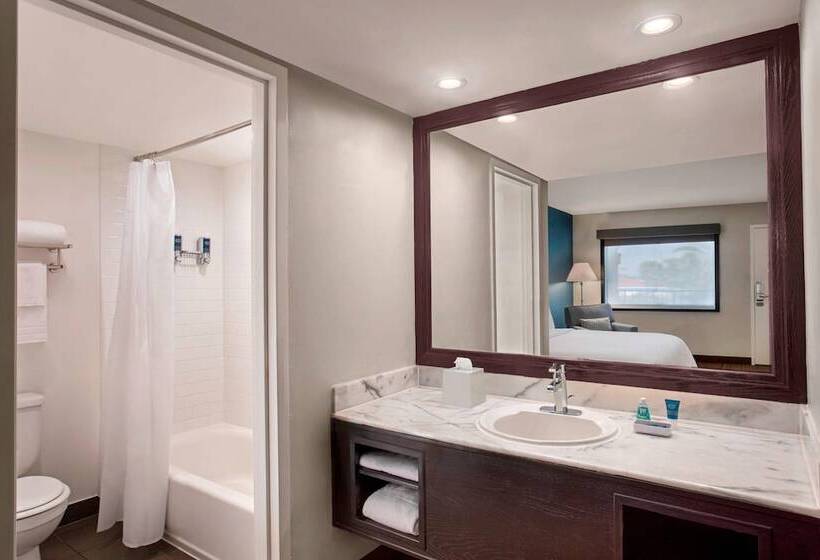 带2个双人床的标准工作室, Four Points By Sheraton Anaheim