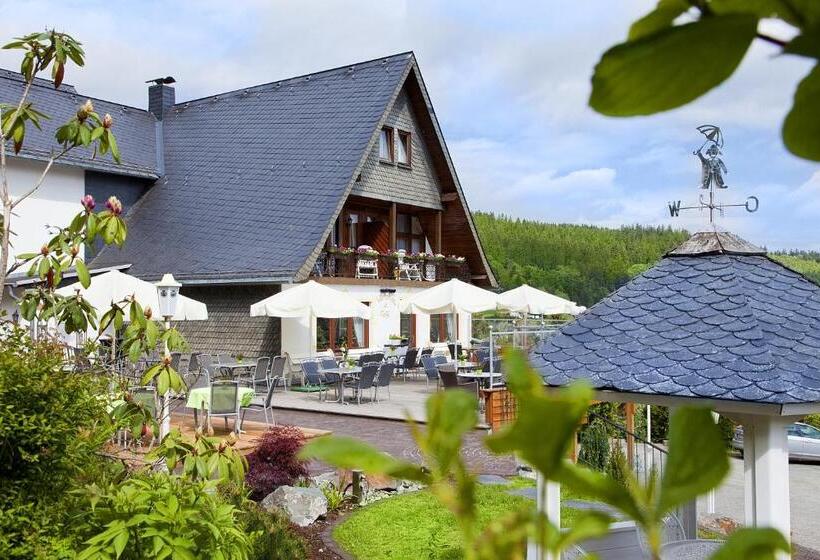 Номер Стандарт Индивидуальный, Wald Hotel Willingen