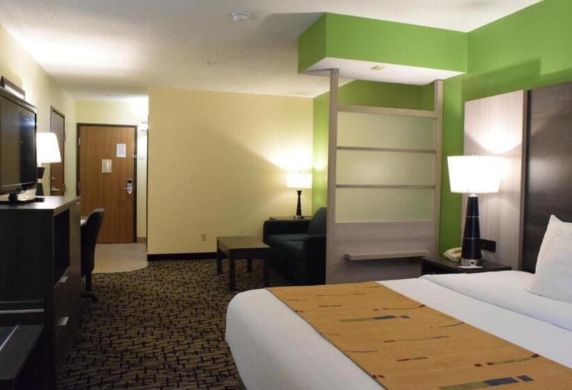 Люкс Кровать Кинг, Best Western Crown Inn & Suites   Batavia