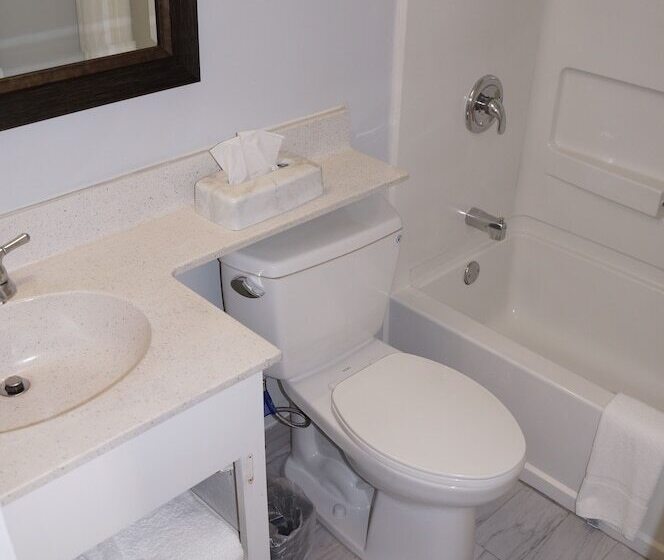 Номер Deluxe, Days Inn & Suites By Wyndham Colonial