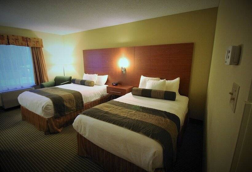 Номер Стандарт 2 Двуспальные Кровати, Quality Inn & Suites