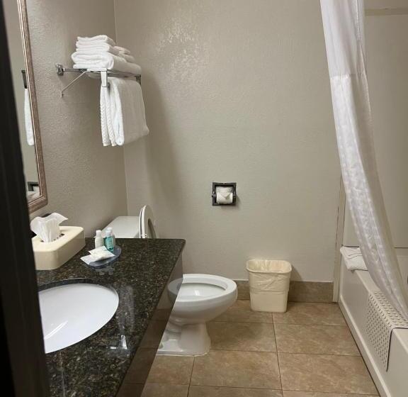 Люкс Адаптированный для Инвалидов, Quality Suites Altavista   Lynchburg South