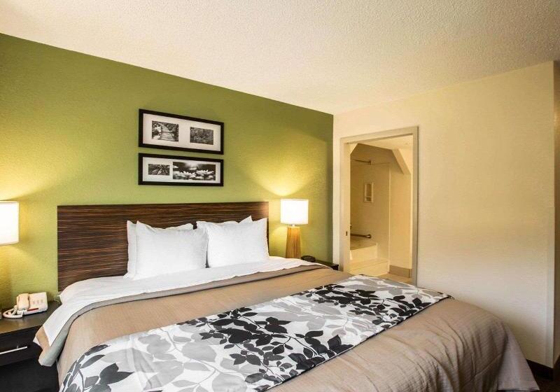 Стандартный Номер Кровать Кинг, Sleep Inn