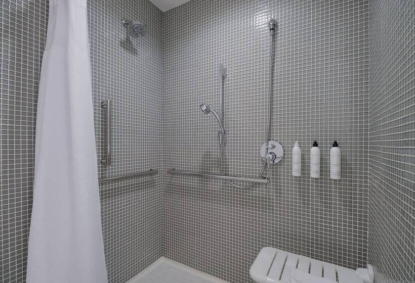 Люкс, Springhill Suites By Marriott Dallas Nw Highway At Stemmons / I 35east