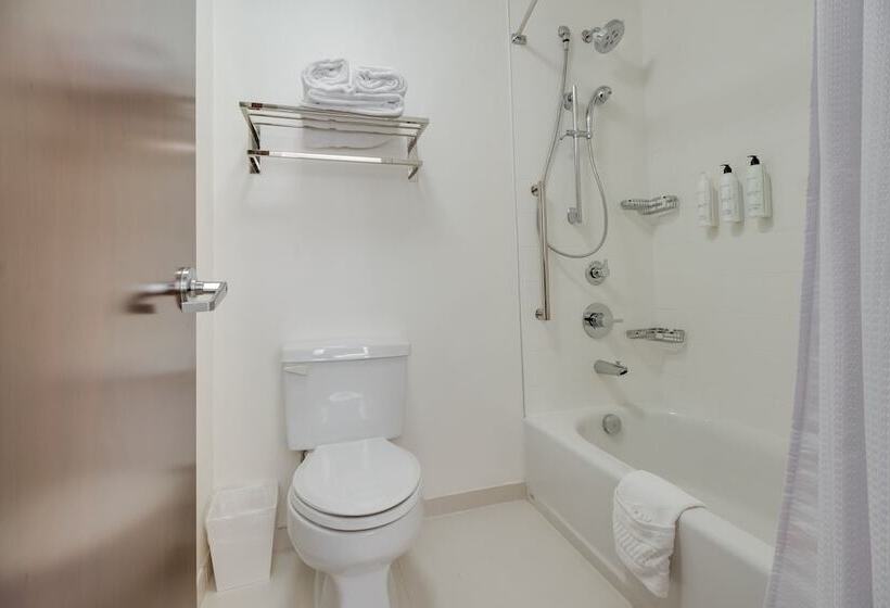 Люкс, Springhill Suites By Marriott Dallas Nw Highway At Stemmons / I 35east