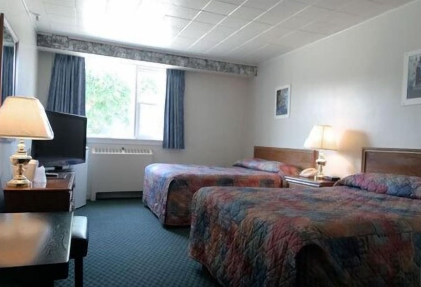 Номер Стандарт 2 Двуспальные Кровати, Airport Motor Inn