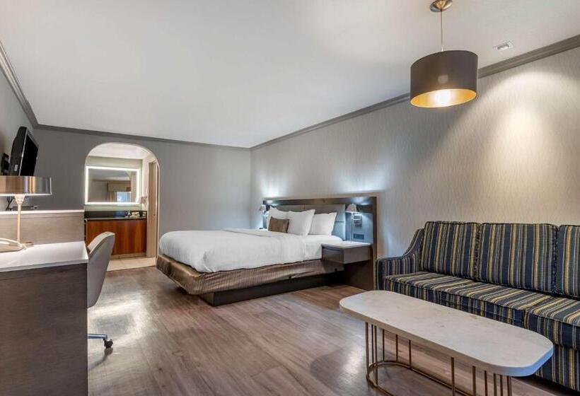 스탠다드 룸 킹사이즈 침대, Best Western Plus Executive Suites
