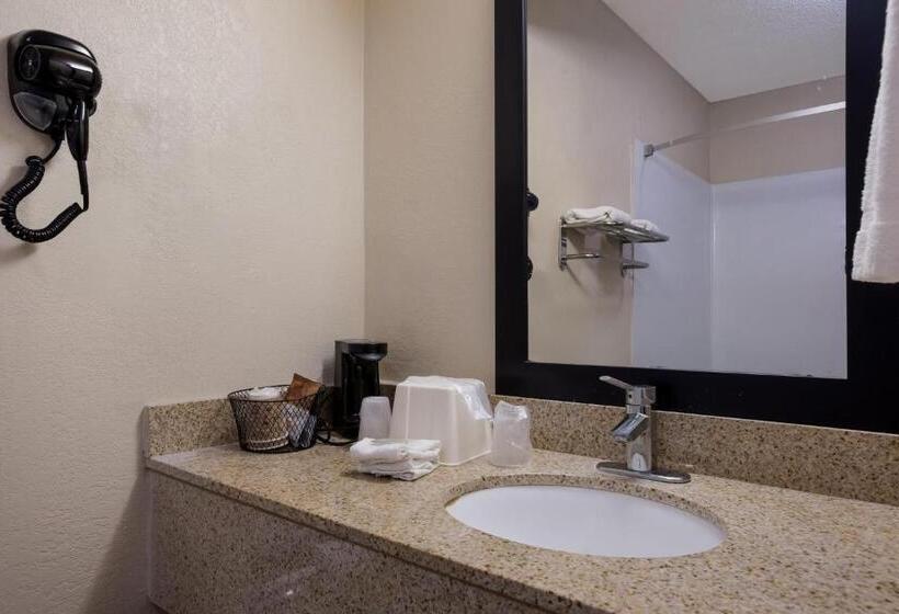 Номер Deluxe Адаптированный для Инвалидов, Red Roof Inn & Suites Statesboro  University