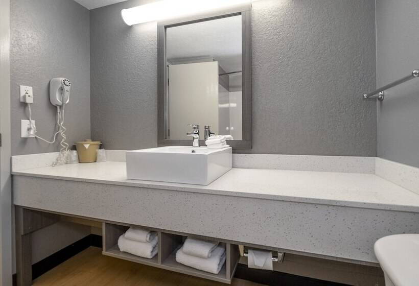 Номер Стандарт 2 Двуспальные Кровати, Red Roof Inn Plus Boston   Mansfield   Foxboro