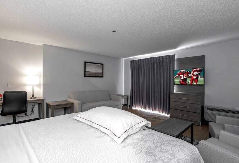 Номер Премиум, Red Roof Inn Plus Boston   Mansfield   Foxboro