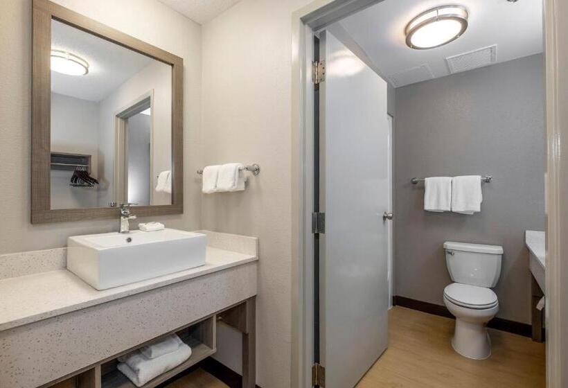Номер Стандарт 2 Двуспальные Кровати, Red Roof Inn Plus Boston   Mansfield   Foxboro