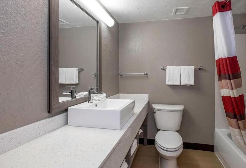 Номер Deluxe, Red Roof Inn Plus Boston   Mansfield   Foxboro