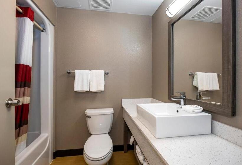 Номер Премиум, Red Roof Inn Plus Boston   Mansfield   Foxboro