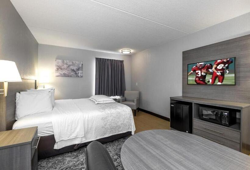 Номер Премиум, Red Roof Inn Plus Boston   Mansfield   Foxboro