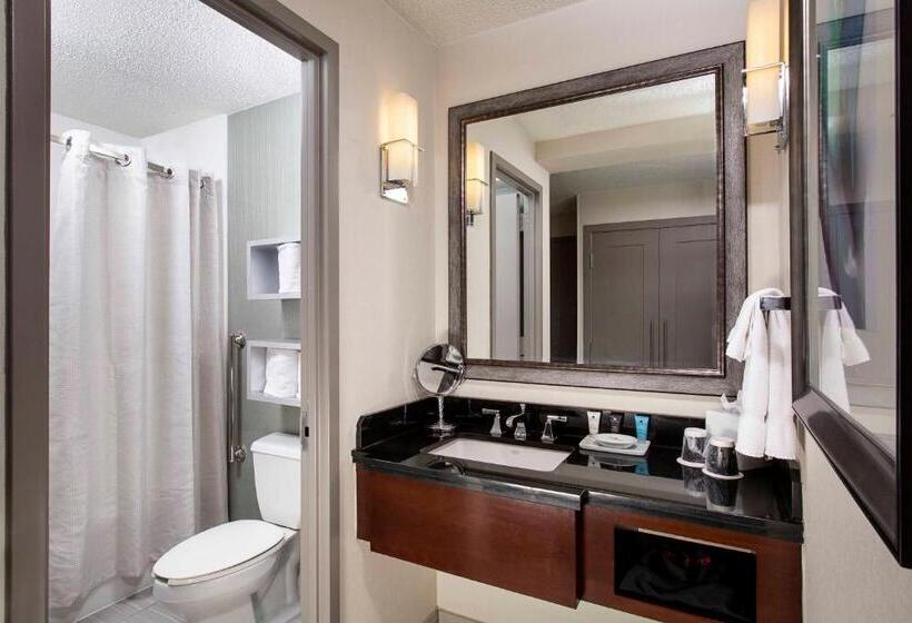 适合残疾人士使用的套间, Crowne Plaza Atlanta  Midtown, An Ihg