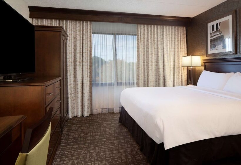 Люкс 2 Спальни, Embassy Suites By Hilton Philadelphia Airport