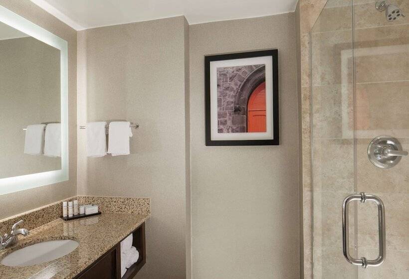 Люкс Premium 2 Спальни, Embassy Suites By Hilton Philadelphia Airport