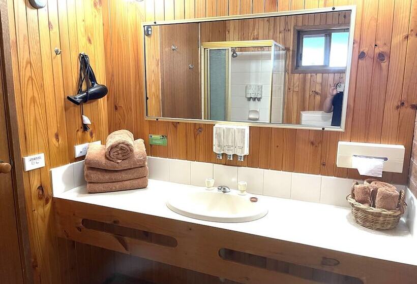 스탠다드 룸, Country Roads Motor Inn