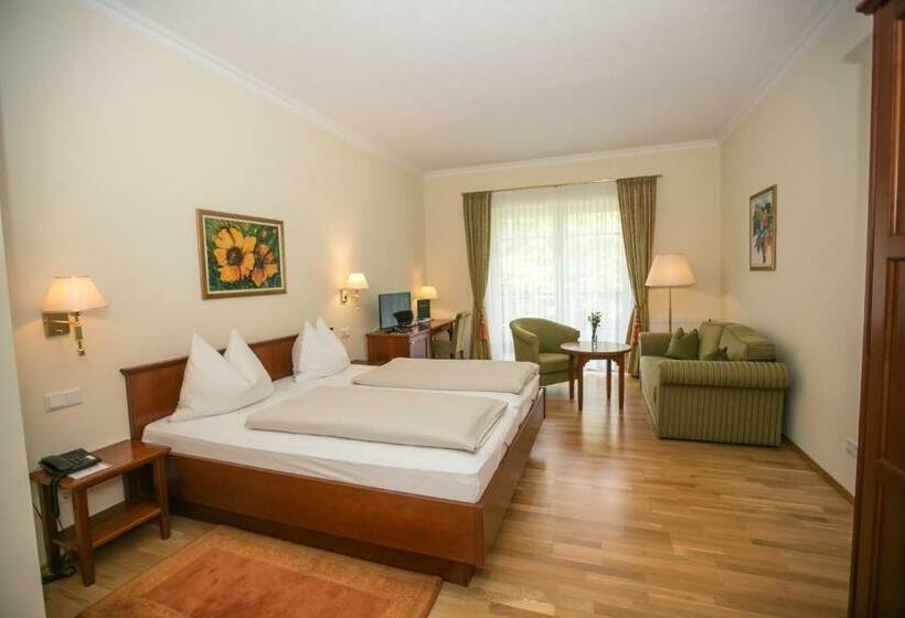 스탠다드 룸, Seehotel Billroth