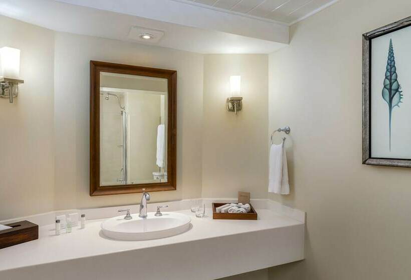 سوییت با چشم‌انداز دریا, Turtle Beach By Elegant Hotels   All Inclusive