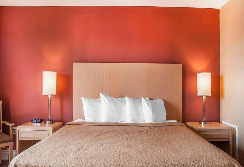 اتاق استاندارد با تخت بزرگ, Quality Hotel Fallsview Cascade