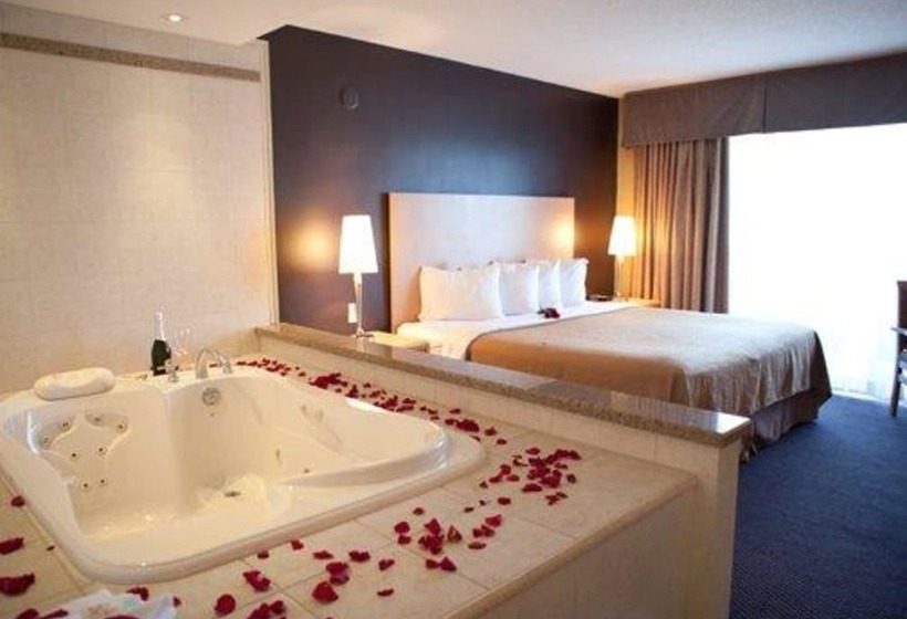 اتاق استاندارد با تخت بزرگ, Quality Hotel Fallsview Cascade