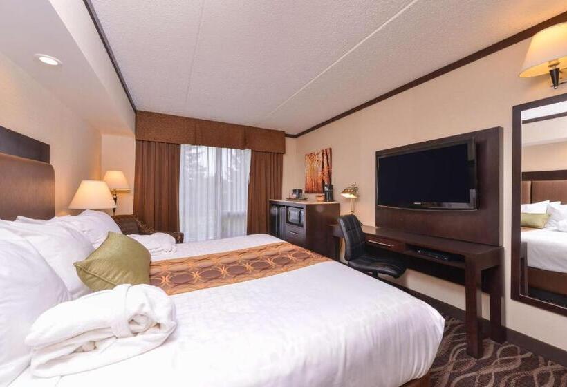 Номер Стандарт, Best Western Wayside Inn