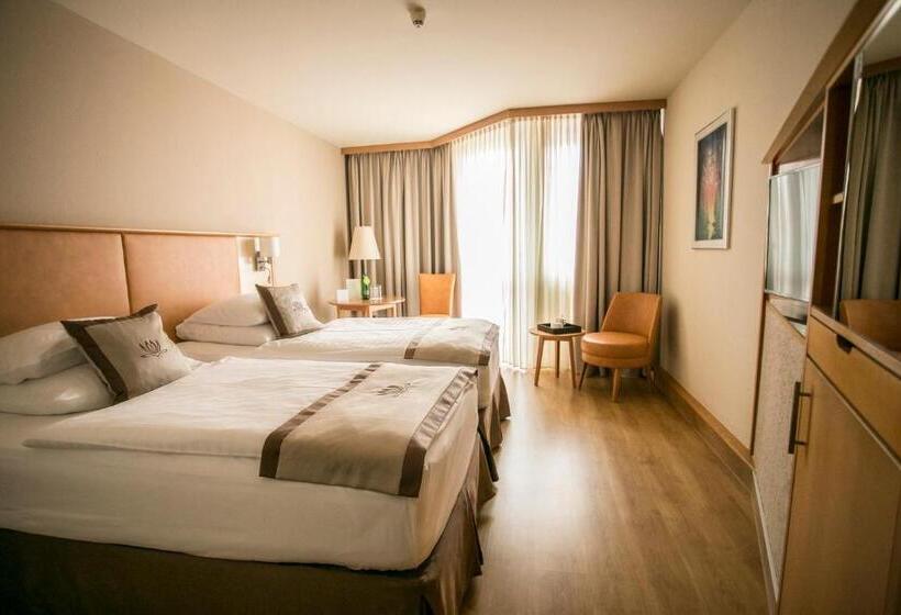 اتاق استاندارد, Lotus Therme Hotel & Spa