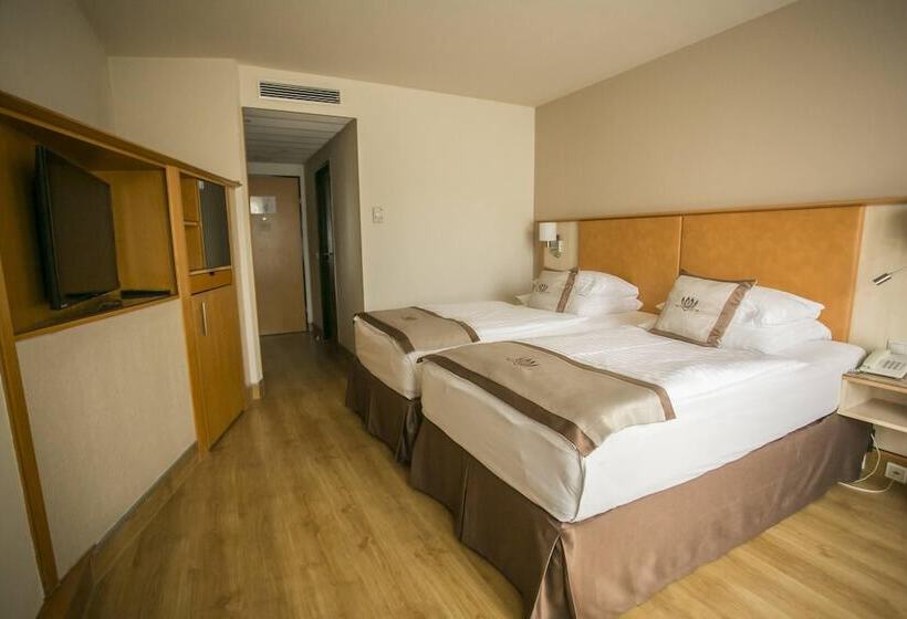 اتاق استاندارد با چشم‌انداز استخر, Lotus Therme Hotel & Spa