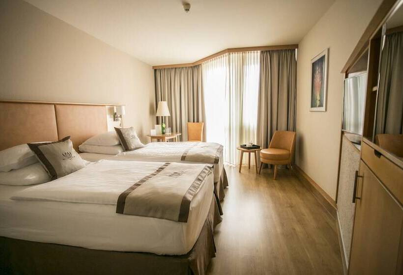 اتاق استاندارد با چشم‌انداز استخر, Lotus Therme Hotel & Spa