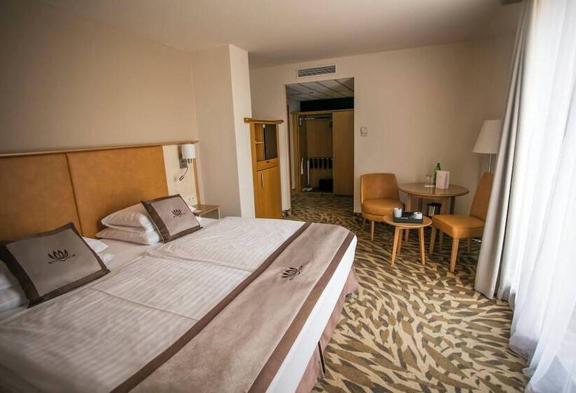اتاق استاندارد, Lotus Therme Hotel & Spa