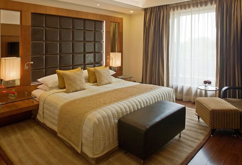 اتاق کلاس بیزنس, Radisson Blu Plaza Delhi Airport