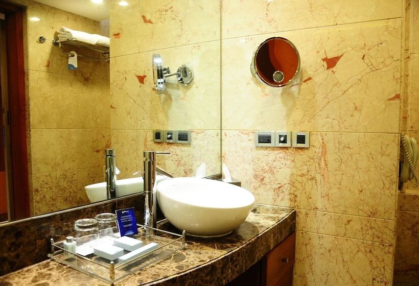 اتاق لوکس, Radisson Blu Plaza Delhi Airport