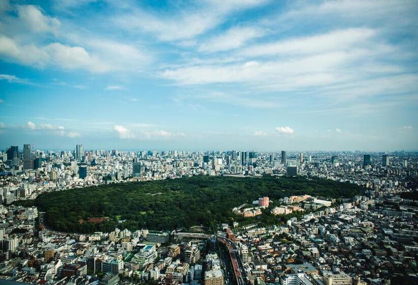 Номер Deluxe с Видом, Park Hyatt Tokyo