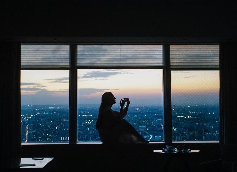 Номер Стандарт, Park Hyatt Tokyo