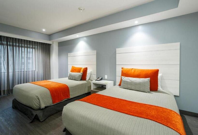 ジュニアスイート, Real Inn Tijuana By Camino Real Hoteles