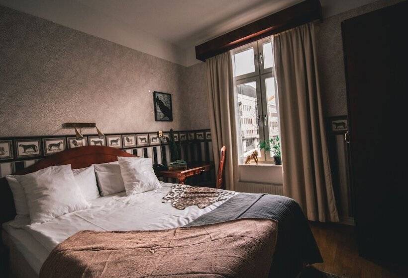 标准间, Mojo Hotell
