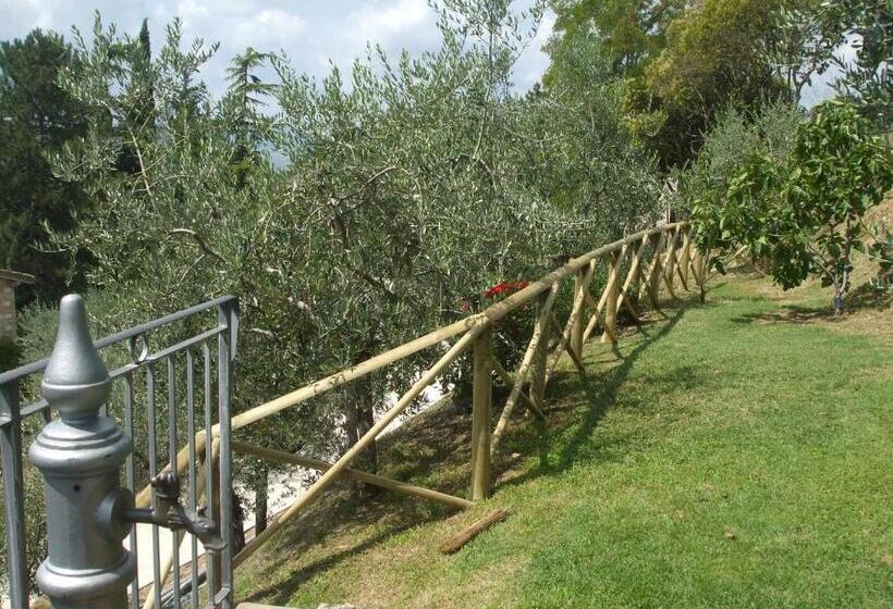 اتاق لوکس, Camere Ramaccia