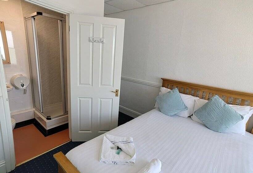 스탠다드 룸 바다 전망, Cardigan And Celtic Bay Guest House