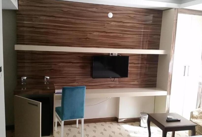 اتاق اکونومی, Elazig Gunay