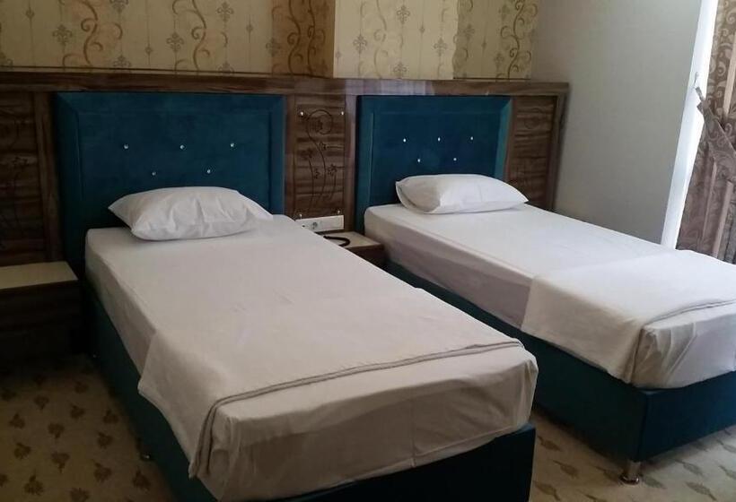 اتاق اکونومی, Elazig Gunay