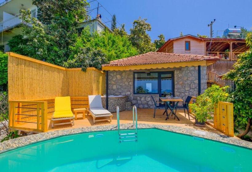 سوییت با استخر, Faralya Yoruk Evi Suite   Adults Only
