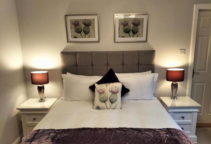 스탠다드 룸, Springfield Lodge Bed And Breakfast